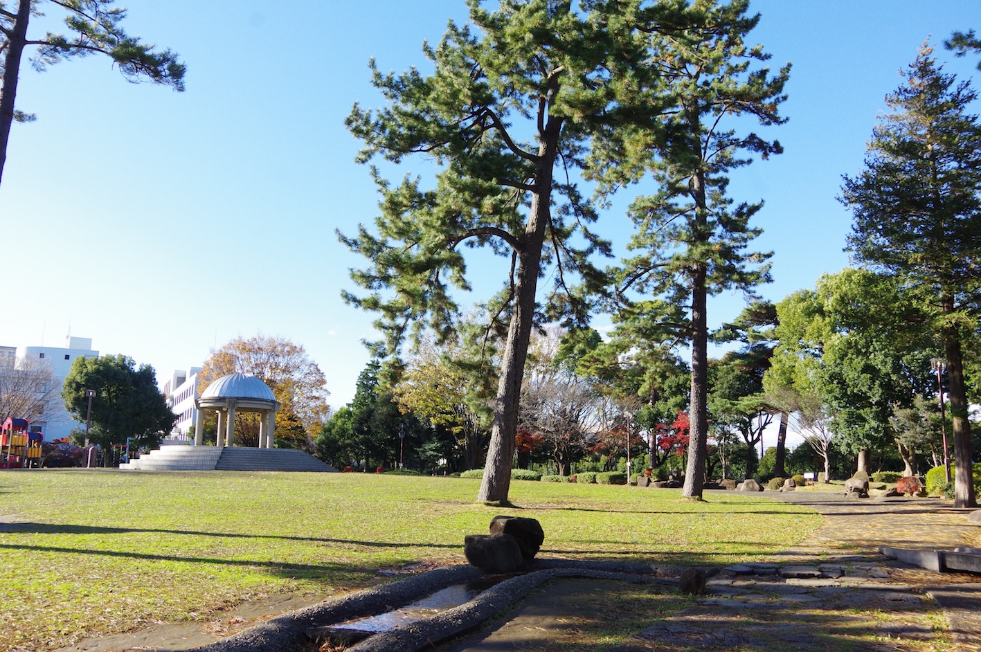 IMGP0850_2.jpg