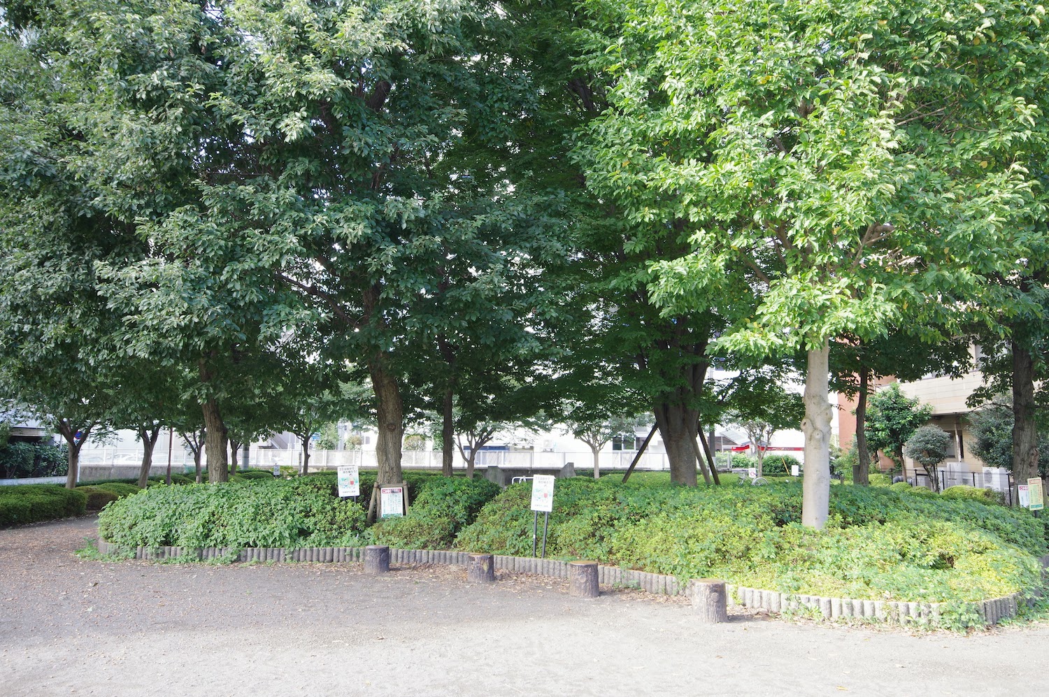 IMGP6349.JPG
